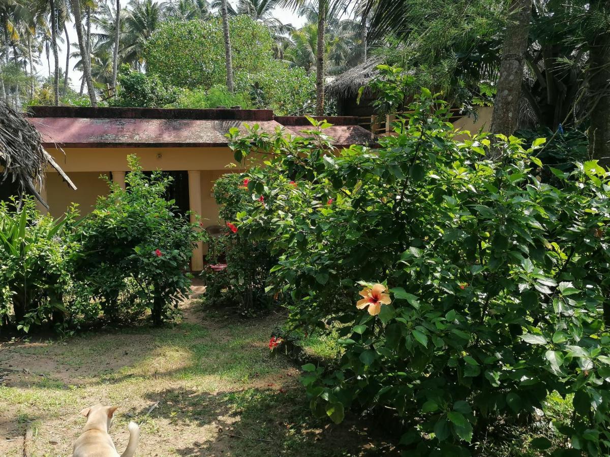 Sukriti Beach Resort Varkala Exteriér fotografie